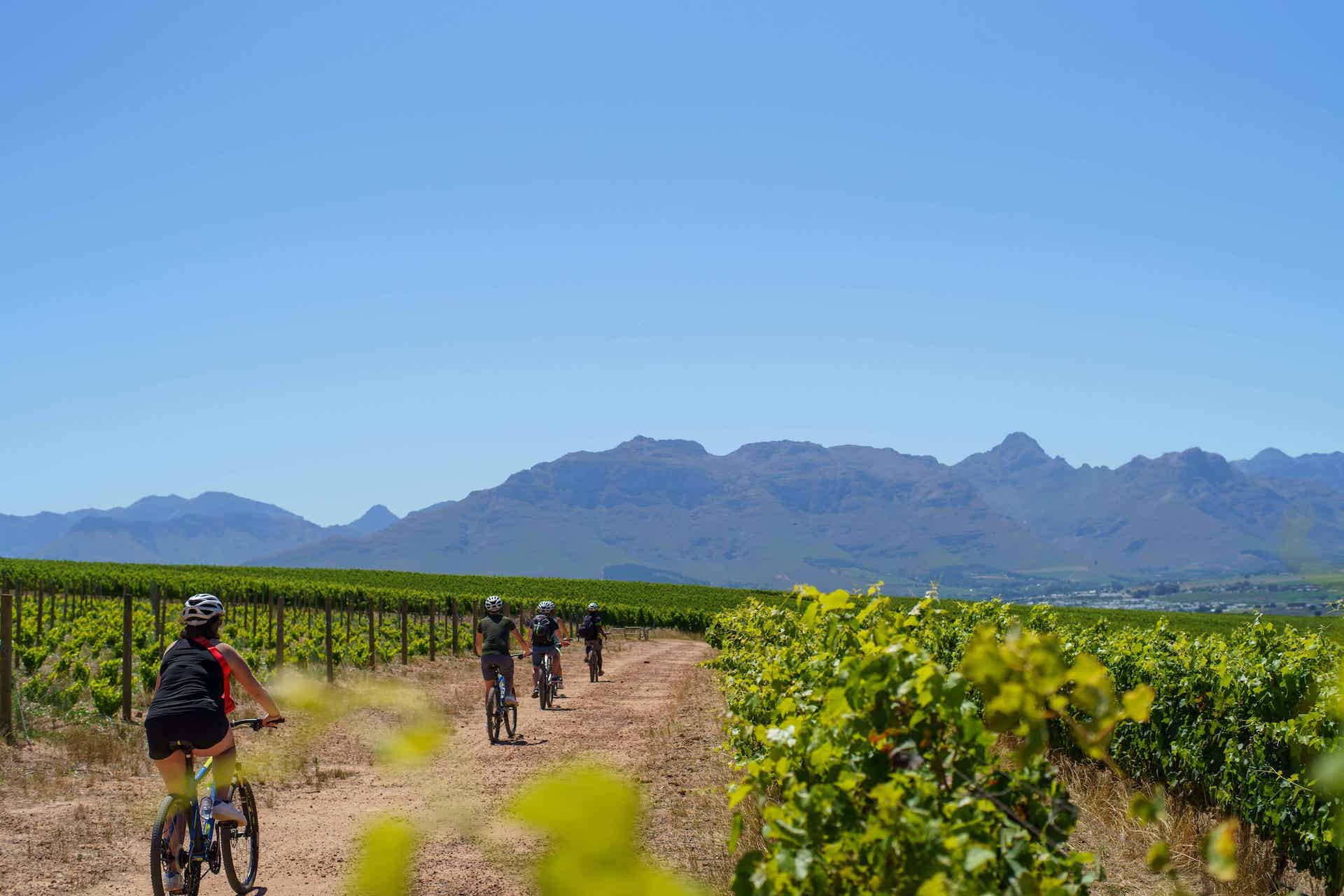 Bikes n Wines Blog